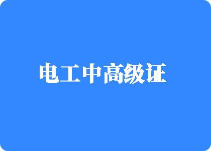 李玉简隋英冰块play电工中高级证